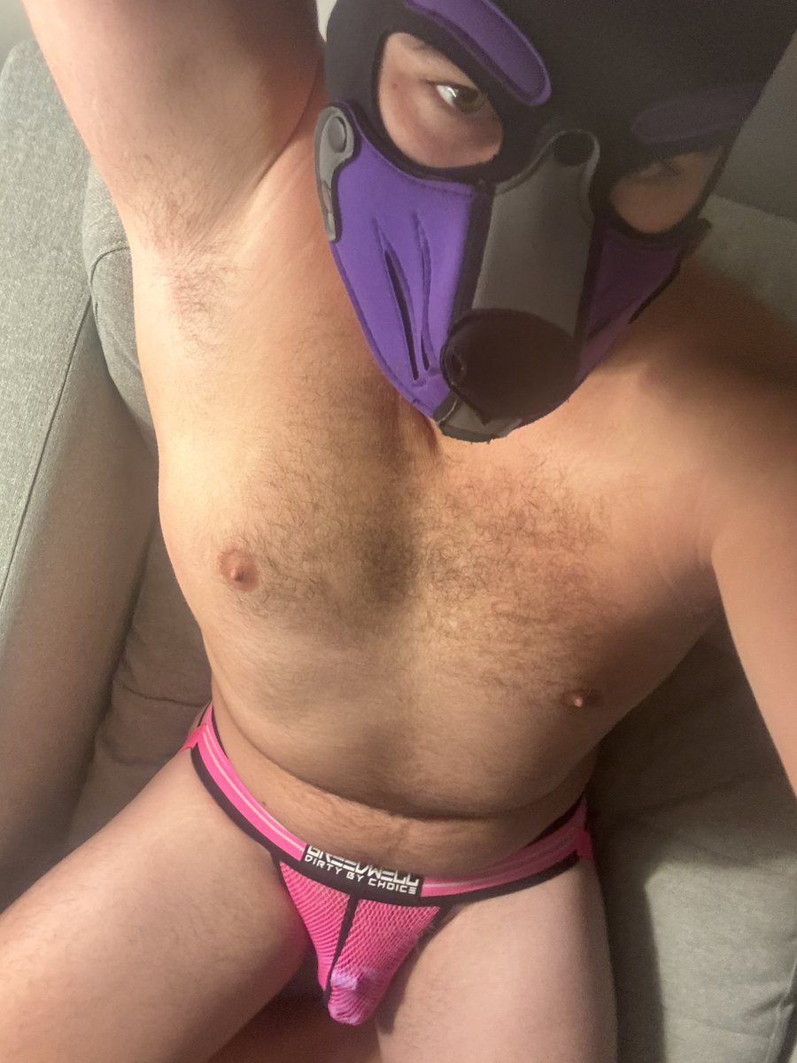 Pup_LUXury's tweet photo. @kink_wear https://t.co/Yj12ihGm9m