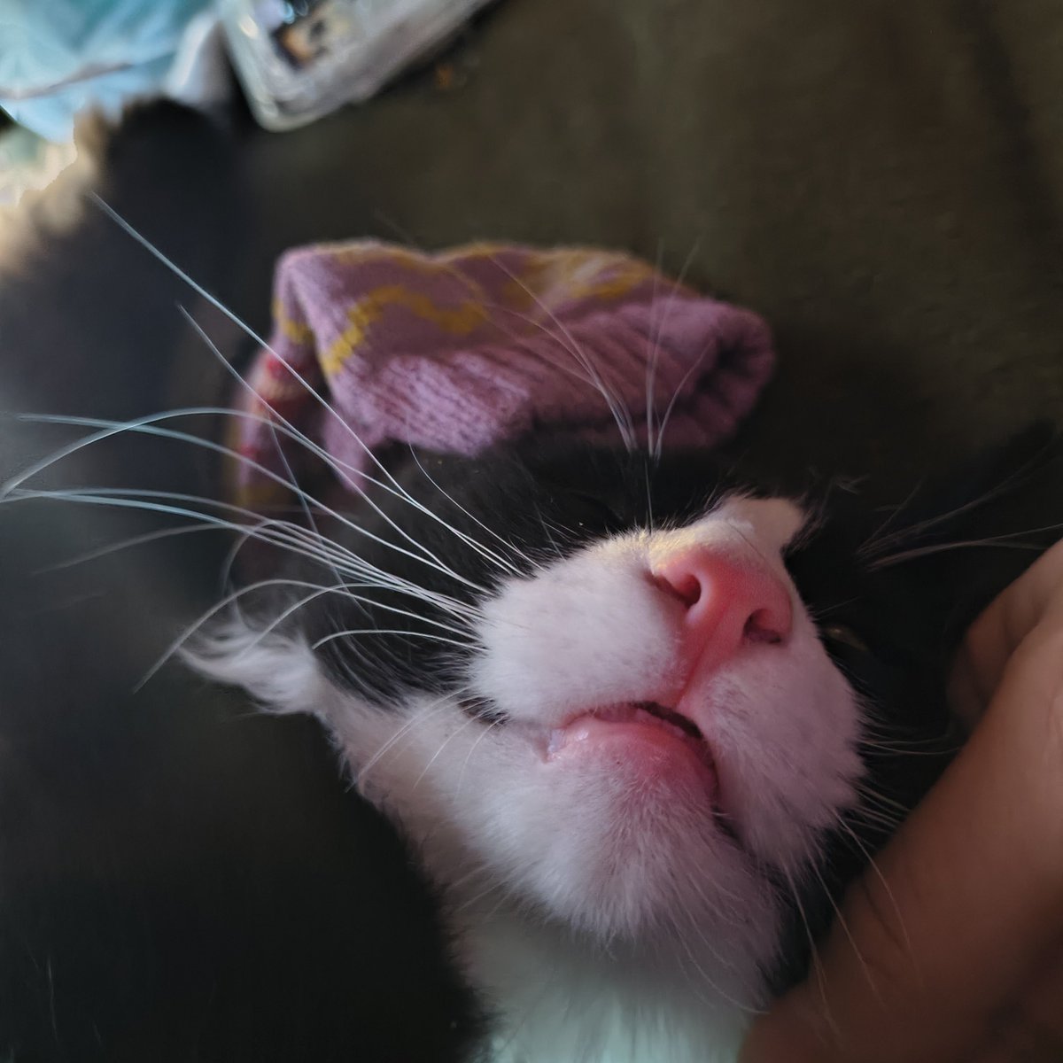 m0th___man's tweet photo. every day cause why does he sleep with his mouth open https://t.co/tah8UVPpgl
