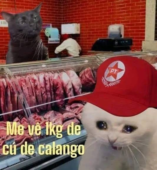 JustDogbro's tweet photo. @ptbrasil @CamiloSantanaCE @gleisi @Haddad_Fernando @JanjaLula @LulaOficial https://t.co/AxZ7pcyzrJ