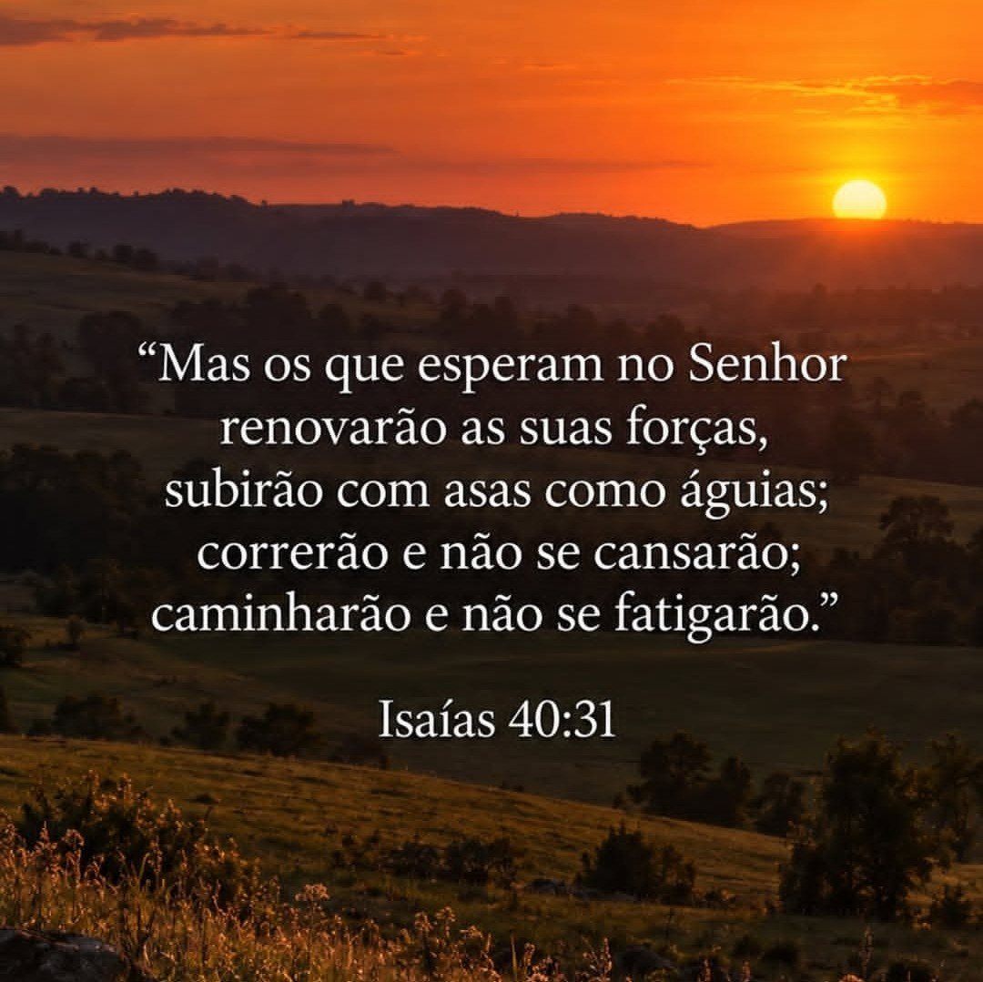 MensageirodaPa6's tweet photo. Isaías fala a um povo cansado. Gente que precisava ouvir que sua fraqueza não significava o fim da caminhada. Deus ainda podia renovar suas forças. Esperar no Senhor é permanecer fiel e continuar caminhando, confiando que nossa fonte não está apenas dentro de nós. https://t.co/tJ8cziXHZf