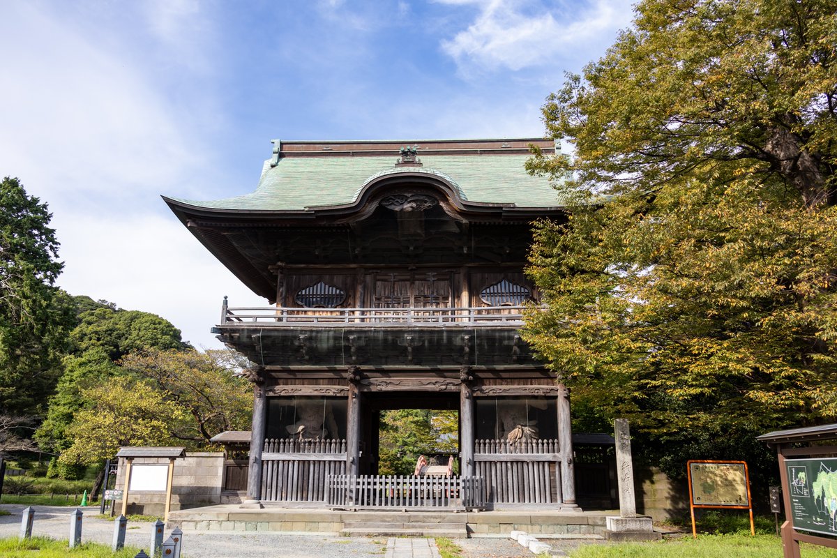 shigetaka_y's tweet photo. 称名寺 仁王門
Fieldwork @ 金沢文庫, 横浜

称名寺の仁王門（1818年再建）に施された精巧な彫刻👀
鳥や獅子、龍の彫刻が見事🦁🐲
よく観察すると、三頭の龍のうち一頭だけ前足があることを発見🐉

#称名寺
#仁王門
#寺院建築 https://t.co/l8HZdRzymZ