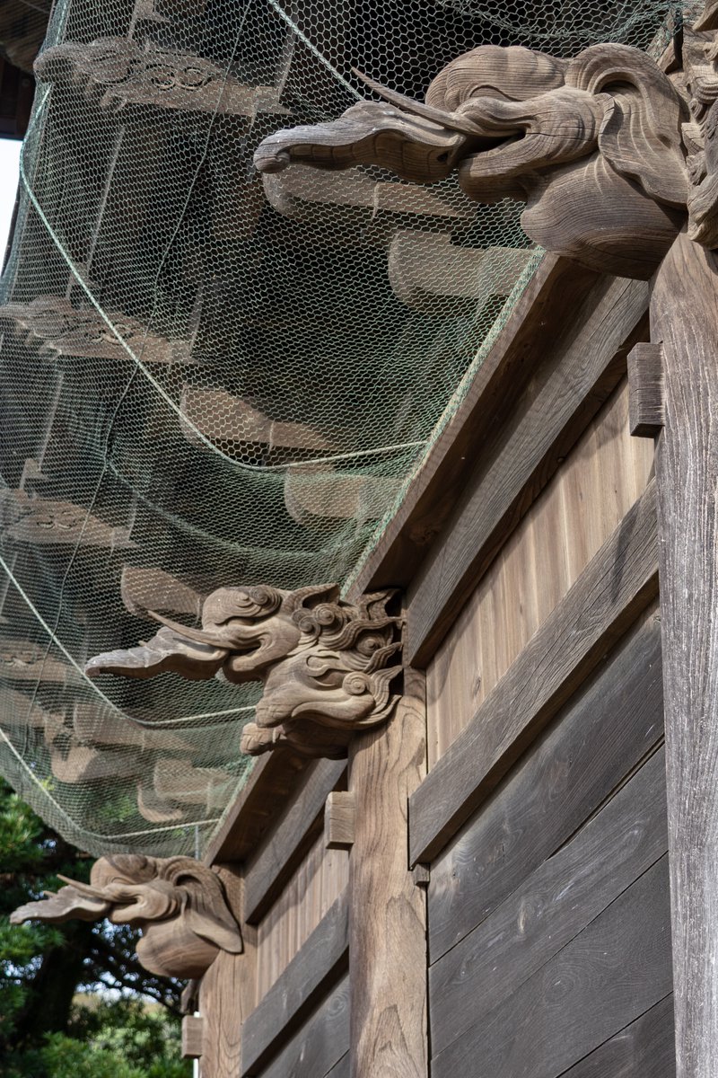 shigetaka_y's tweet photo. 称名寺 仁王門
Fieldwork @ 金沢文庫, 横浜

称名寺の仁王門（1818年再建）に施された精巧な彫刻👀
鳥や獅子、龍の彫刻が見事🦁🐲
よく観察すると、三頭の龍のうち一頭だけ前足があることを発見🐉

#称名寺
#仁王門
#寺院建築 https://t.co/l8HZdRzymZ