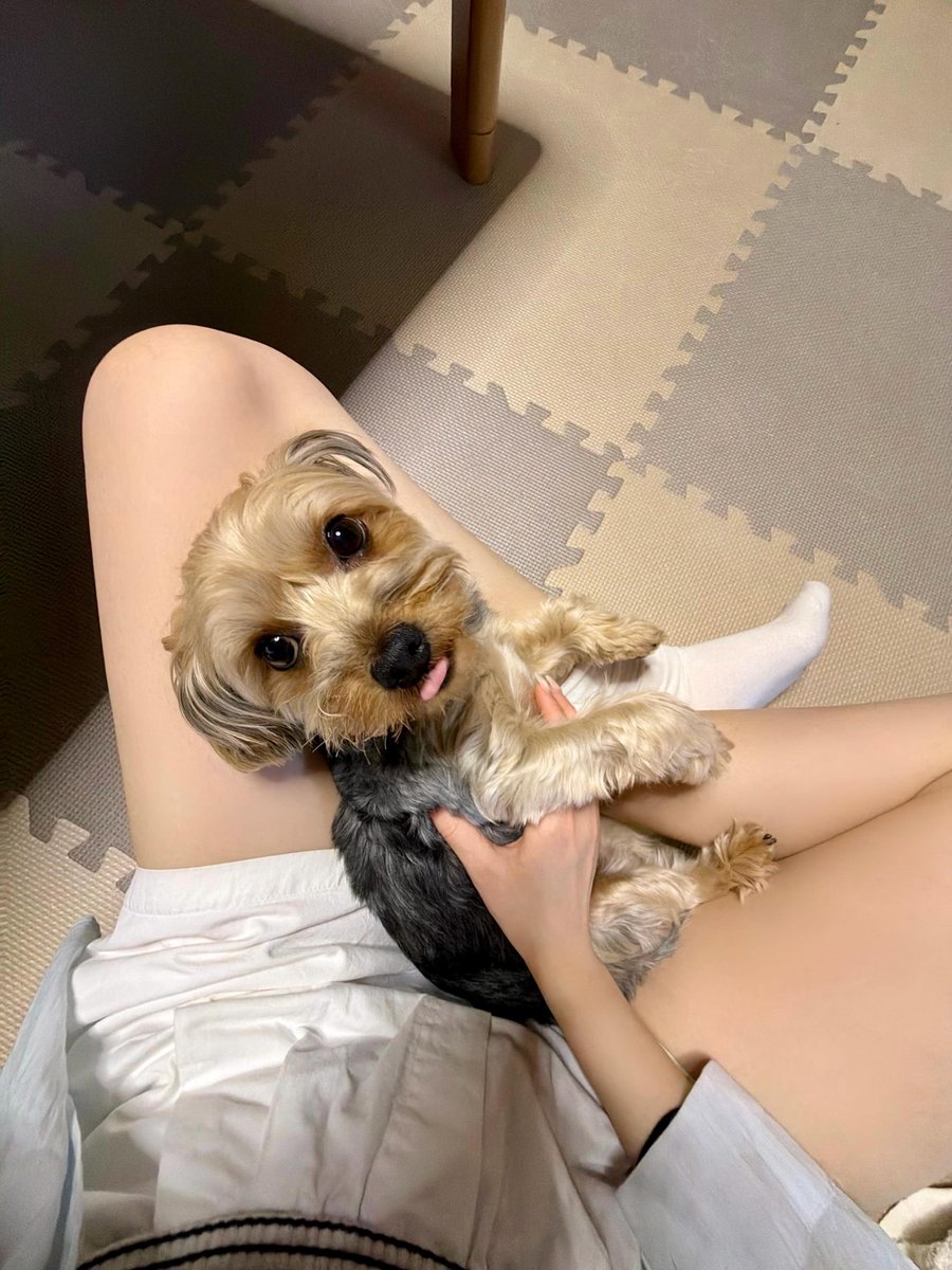 BRASIL_TRIBE's tweet photo. 🐶| Atualização da MiRe em seu Instagram 

"Já é outono 🍂"

#트라이비 #TRI_BE #미레 #MiRe https://t.co/hHa07U207R