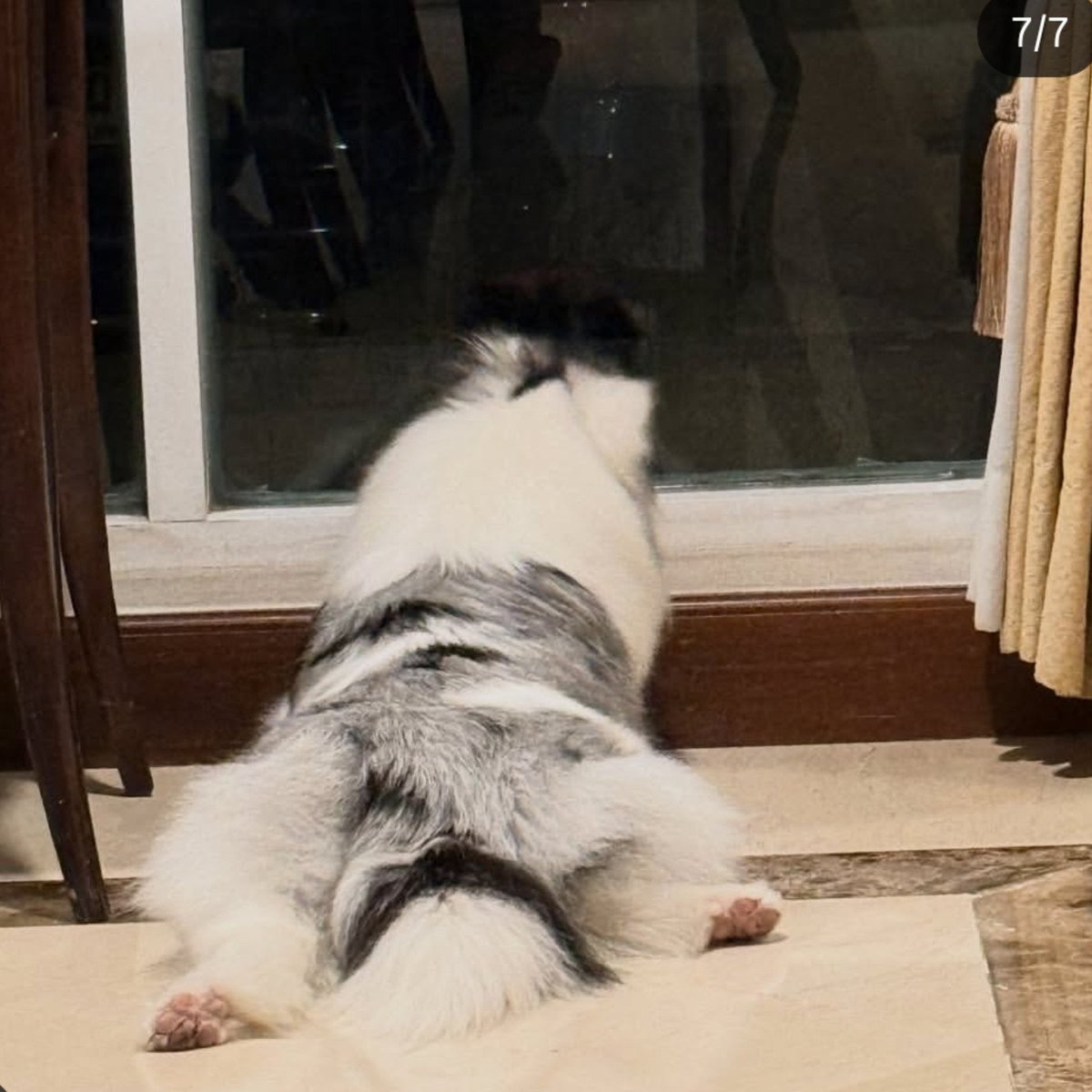 noeylechh's tweet photo. เจเนทรอทุกคนกลับบ้าน น่ารักมากกกกก ㅠㅠㅠㅠㅠㅠㅠ https://t.co/2tYcVIHDfp