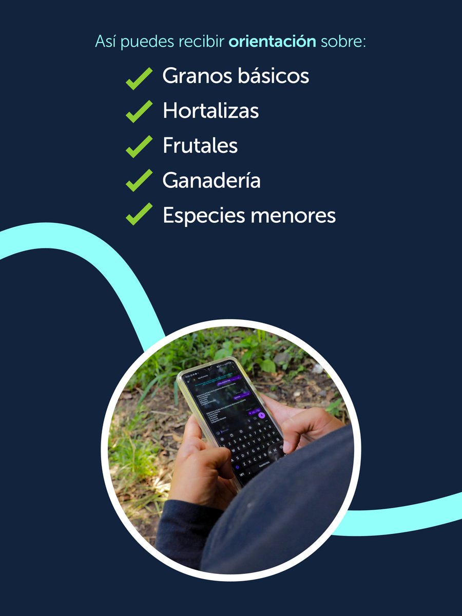 AgriculturaSV's tweet photo. Conocé algunos datos sobre #AgroConecta, un nuevo canal de atención y la conexión que estamos construyendo con el sector agropecuario. 🚜✅🌱 https://t.co/zy7Wn7Rq59