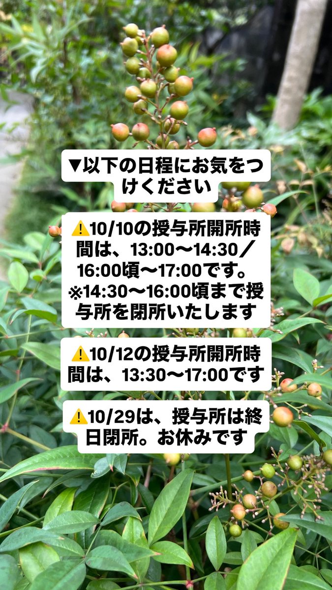 honkouji_kyoto's tweet photo. 御朱印受付時間のお知らせです。以下の日程にお気をつけください
⚠️10/10の授与所開所時間は、13:00〜14:30／16:00頃〜17:00です。
※14:30〜16:00頃まで授与所を閉所いたします。
⚠️10/12の授与所開所時間は、13:30〜17:00です。
⚠️10/29は、授与所は終日閉所。お休みです。
https://t.co/uwUwrECeih https://t.co/02Y5U3GPcy