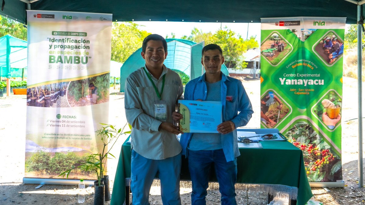 INBARofficial's tweet photo. Project: Bamboo in Northeast Peru ๐ฃ
38 producers, students and professionals learned to identify and propagate bamboo in Jaรฉn, #Peru, through hands-on Field Schools by INBAR and #INIA. ๐
Read about it ๐ https://t.co/sclRIJ4kIv
#ThinkBamboo #ThinkRattan #Sustainability https://t.co/ff52K57x54