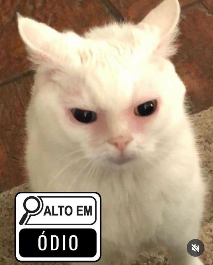 drelucax's tweet photo. Ai me poupe https://t.co/inj9thtlRG