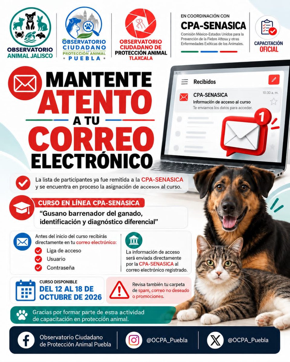 OCPA_Puebla's tweet photo. 📧🐾 ¡Atención, participantes del curso de Gusano Barrenador!

La lista de Jalisco, Puebla y Tlaxcala ya fue enviada a CPA-SENASICA.

¿Qué sigue? 👇

Mantente atento a tu correo electrónico.

1/3 https://t.co/abRMGYqhDo
