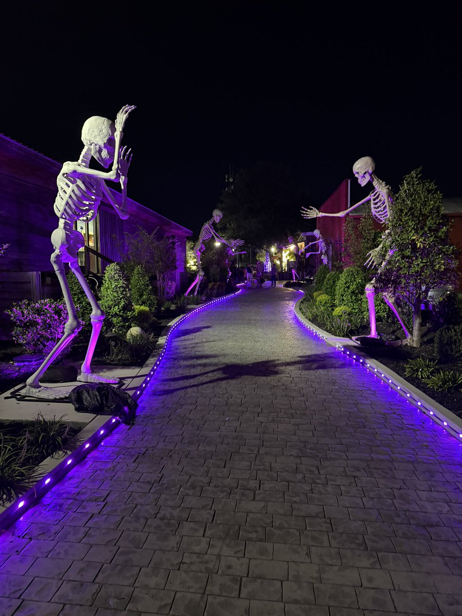 AuthorClyde's tweet photo. Follow the skulls #whateverwednesday #skulls #HalloweenDecor https://t.co/oHnY5Ptmyv