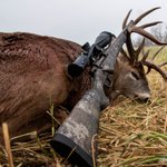 Photo by MossbergHunting (@MossbergHunting)