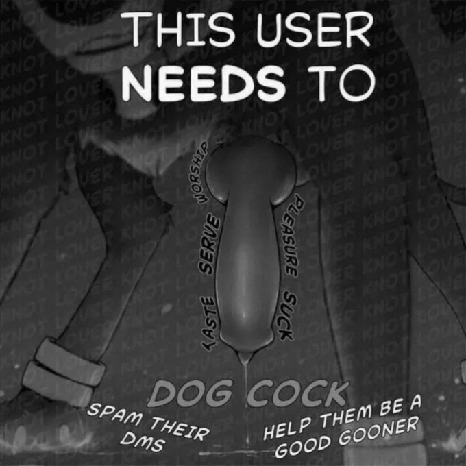 guh1lu2's tweet photo. Send me knotty things to turn  me into a doggy slut <3 Fill my DMs :3  #Feral #beast #dog #knot #knotty #stallion #flared #equine #Knotslut #wataa #knotting #Feralporn #horsed #hentai #taboo #taboorp #Feralrp #horse #petplay #bdsm #wolf #werewolf #knotted #dogknotting #wolfed https://t.co/cIHB3IgBuz