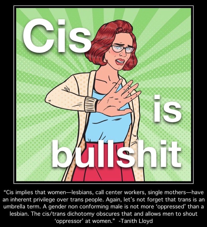 CopterDex's tweet photo. @ScpZelda @VeronStalina @natalie_1202 @Libertarivs7 No one is c*s https://t.co/ZD4waV77V3