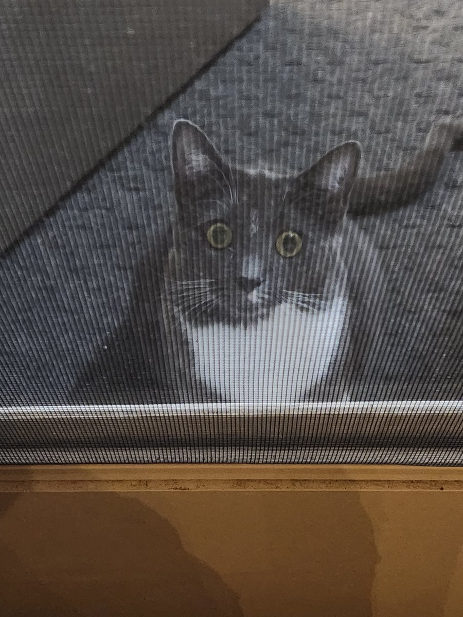 snowcrowsy's tweet photo. please close your eyes... im scared... https://t.co/cZOa6qAneI