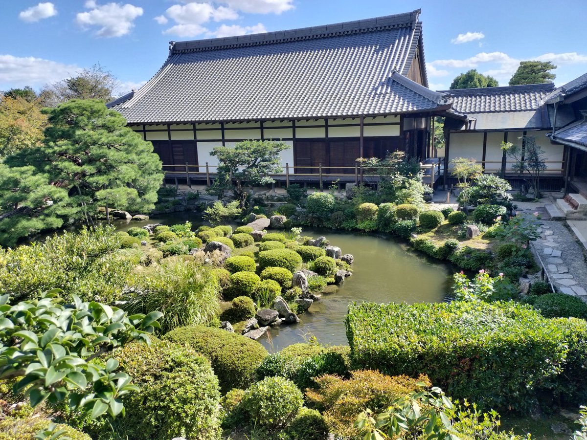 Barbaross1189's tweet photo. 等持院には幕末、朝敵と見做され鳩首の憂き目を見たことで歴史に名を残す足利尊氏・義詮・義満ほか歴代将軍家木像���あり、各像の前に御賽銭が置かれている

徳島県人として十四代・義栄像に是非賽銭を…と思ったが

足利義栄像は造られなかったので存在しない。哀れ義栄。

#2026おっさん歴史紀行 https://t.co/4HOFrefpD0