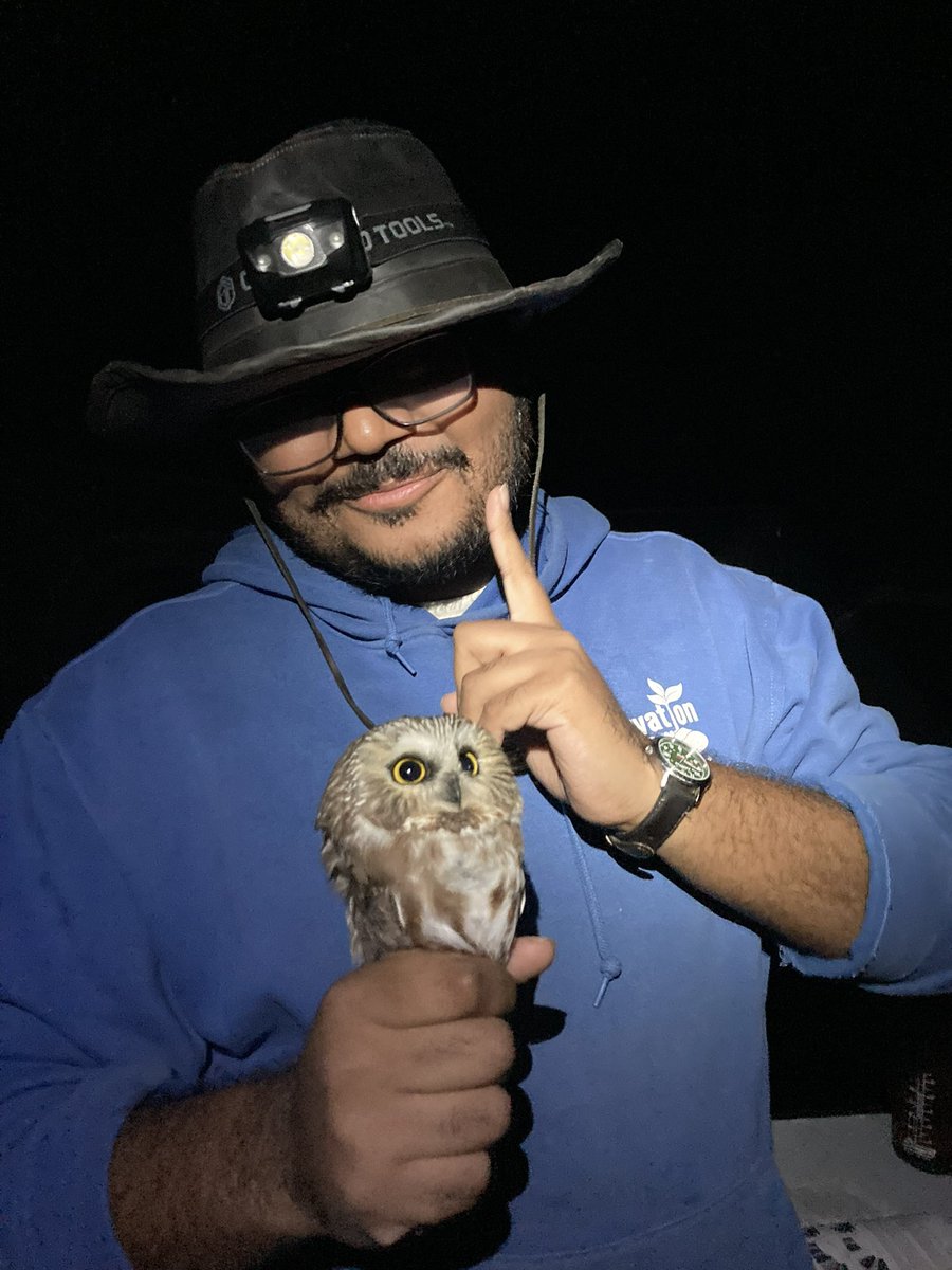 aadityad9's tweet photo. #owlmogged https://t.co/oPyyemdwxo