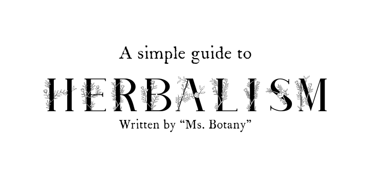 MsGraspy's tweet photo. ���This post and any comments from me will be used to give notice of any advancement to my book: "A simple guide to herbalism"

Written by “Ms. Botany” (me, hehe :3)

*Added image of my book title. https://t.co/MLYYvGTr0R