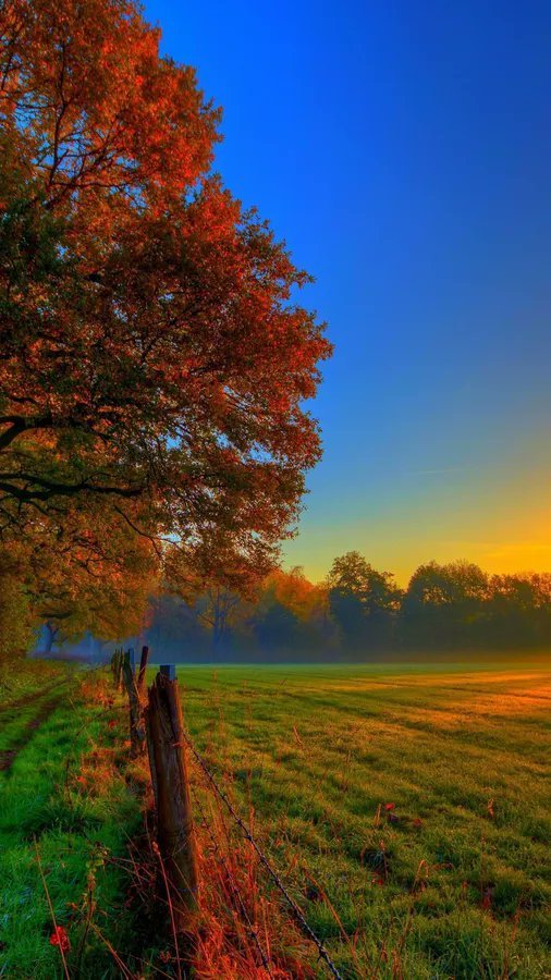 0DelicateNuture's tweet photo. Beautiful autumn morning in the southern England 🌄 🏴󠁧󠁢󠁥󠁮󠁧󠁿 🍁🍂🍁 https://t.co/D9J0qs7Xms