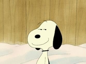 DailySnoopys's tweet photo. https://t.co/0r77DoAAyA