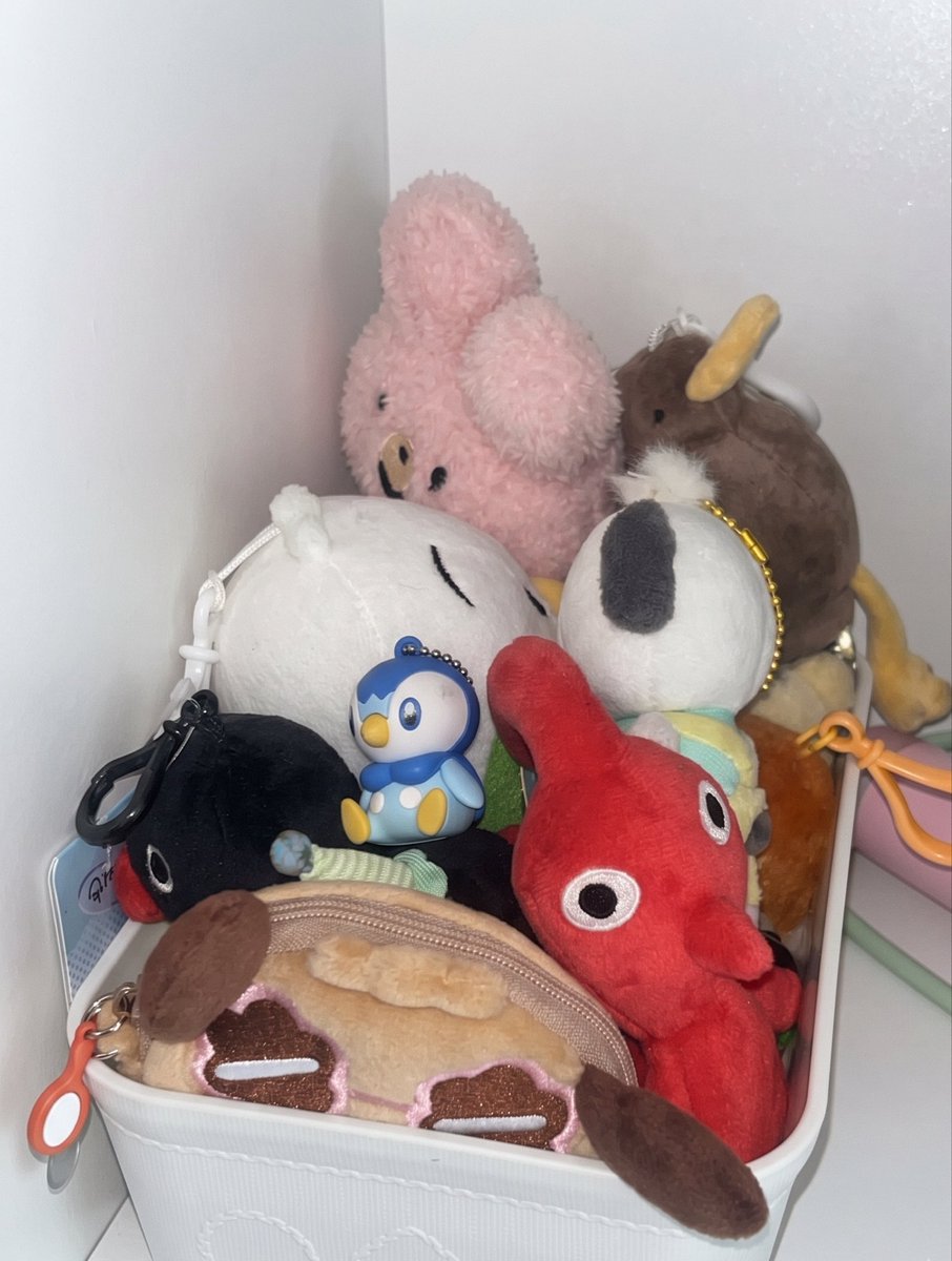 imyourcreamcos's tweet photo. 좁다 좁아 https://t.co/NSJjkqkNY9