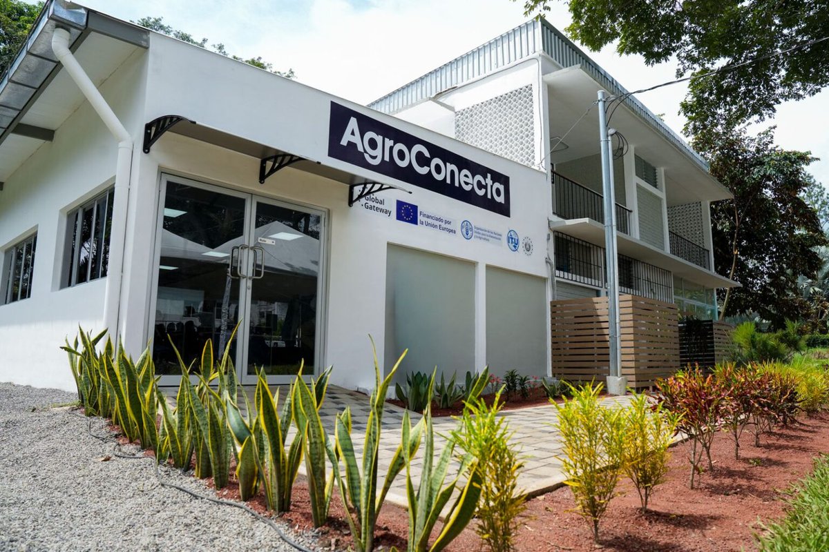 AdrianaMiraSV's tweet photo. Más conocimiento e innovación para el agro. 🌱

Hoy, junto a @AgriculturaSV, @ENA_ElSalvador, @ITU y @CENTAELSALVADOR, con el apoyo de @UEenElSalvador y @FAOElSalvador, lanzamos #AgroConecta, una iniciativa que genera oportunidades para nuestros productores y el desarrollo rural. https://t.co/zXCUwQcI6L