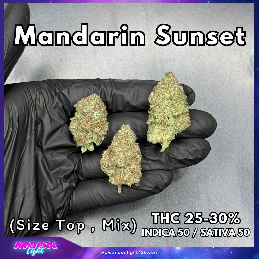 moonlight_thai's tweet photo. Mandarin Sunset 🔥

10g  = 300

เมนูhttps://t.co/pXBWXq2gab

#กัญชากรุงเทพ #กัญชาลาดพร้าว #กัญชาชลบุรี #กัญชารัชดา #กัญชารามคำแหง #กัญชาขอนแก่น #กัญชาเชียงใหม่ #กัญชานนทบุรี #กัญชาโคราช #กัญชาสระบุรี #กัญชาสระแก้ว #กัญชาเชียงราย #กัญชามีนบุรี #กัญชารังสิต #ใบทริม #กัญชาภูเก็ต https://t.co/6NpMJCmVdI