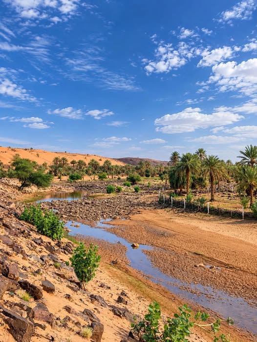 leanadchghaly's tweet photo. اعوينات أرجي… جوهرة تتوسط تگانت، حيث تلتقي روعة الطبيعة بسحر المكان وهدوء الصحراء. 🇲🇷🏜️

#موريتانيا https://t.co/hKlYc8aWHd