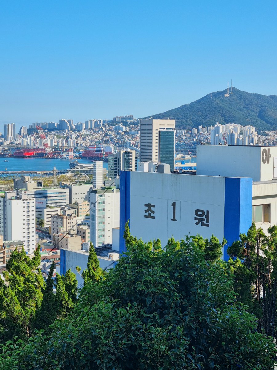 M00M0W's tweet photo. 🌊 부산 헤어질 결심 촬영지

나 이제 수완이 마음 이해해 장해준이 비이상적으로 튼튼한 인간이었음을... 여길 어떻게 뛰냐 미친

총 차고 다니면 뭐 하냐, 숨차서 뛰지도 못하는데? 했던 그 장면 수완이가 보고 소리 지르던 그 계단 다녀왔어요 장해준 너 뷰 좋은 데서 싸웠드라 https://t.co/94fvnnfVx9