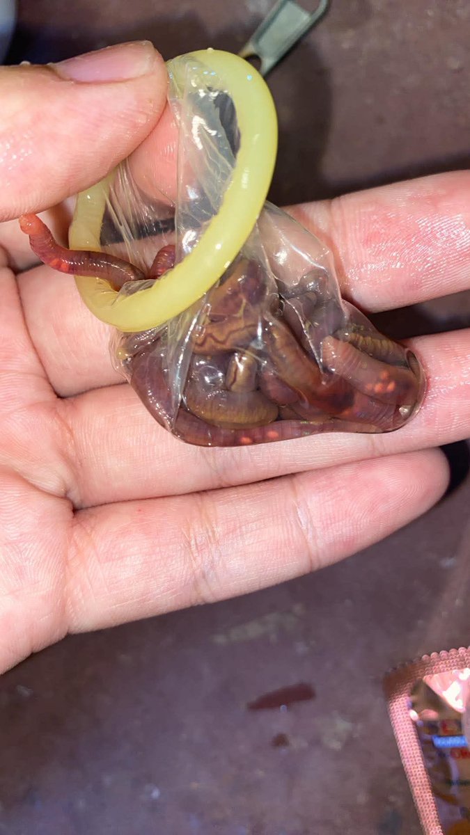 Earthworm4peg's tweet photo. ใส่กางเกงทับแล้วไปข้างนอกดีไหมครับ🪱 https://t.co/M8RFQk4zRr