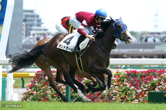 keibalab's tweet photo. 【兄姉の悲願を果たしに】
土曜京都5R・2歳新馬では、サートゥルナーリア産駒キューティボンドが川田将雅騎手を背にデビュー。

半兄にダノンベルーガ、半姉にボンドガールがいる血統。馬名意味は"可愛い+姉名の一部"
#キューティボンド #川田将雅 #ダノンベルーガ #藤田晋
https://t.co/IHy1gdVq6g https://t.co/8HGI0Xp0QN