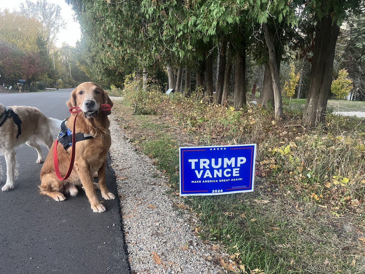 byte_me_45's tweet photo. @DataRepublican This guy voted early on our walk tonight! https://t.co/IMKHm9yCzQ