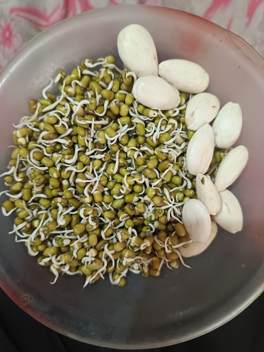 Sowmyakutt3v's tweet photo. My Simple Breakfast: Sprouts and Badam... https://t.co/jqhlzv8JNB