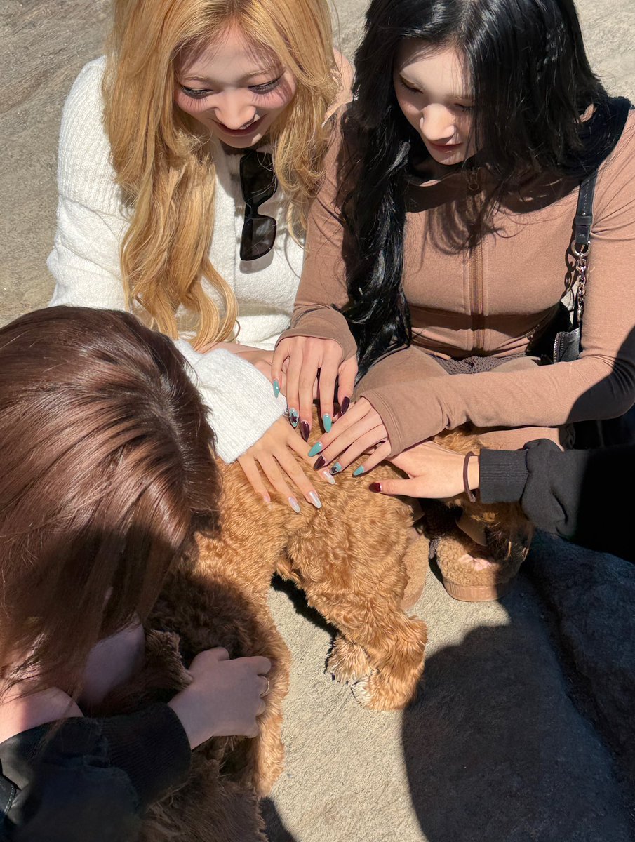 stallekim's tweet photo. Just when we thought our day couldn’t get any better.. 100% floofy!! 너무 귀여워!! :3🐶🐾 https://t.co/RdlGiLKScM