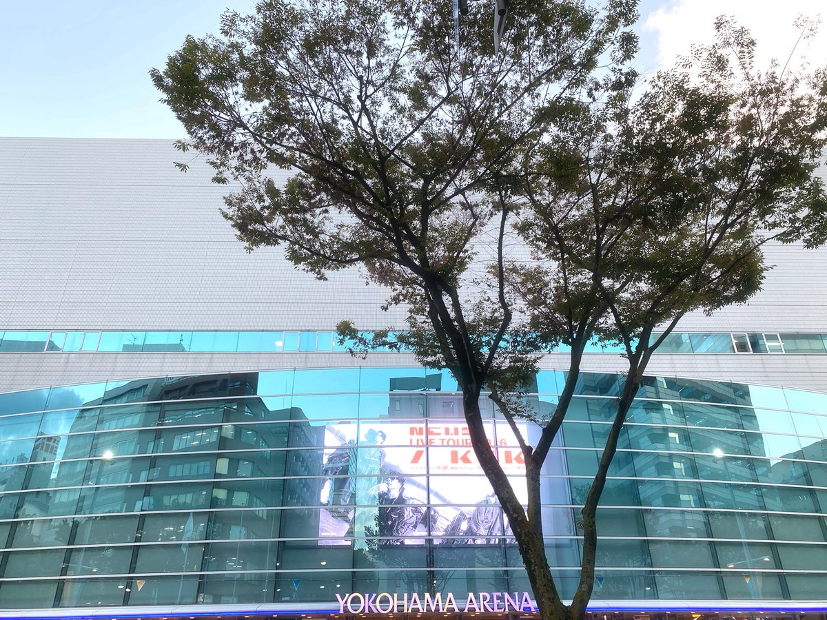 chiro_219's tweet photo. 横浜3日目₊°♪˚.⁺
わたし的オーラスです！
楽しまなくちゃね💜💛💚

昨日と一昨日の写真です( ˶´˘`˶) https://t.co/jCoxYmIx8T