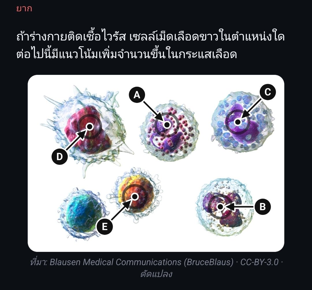 AllTCAS's tweet photo. 🔶️ วันนี้มีชีวะมาให้ทำจ้า 🔶️
เพราะชีวะคือชีวิต เราเลยไม่ควรเสียชีวิตเพราะชีวะ
.
เฉลยในเมนท์
#alevel #tcas70 #dek70  #alevelชีวะ  #alltcas https://t.co/QrzsbZbfBb
