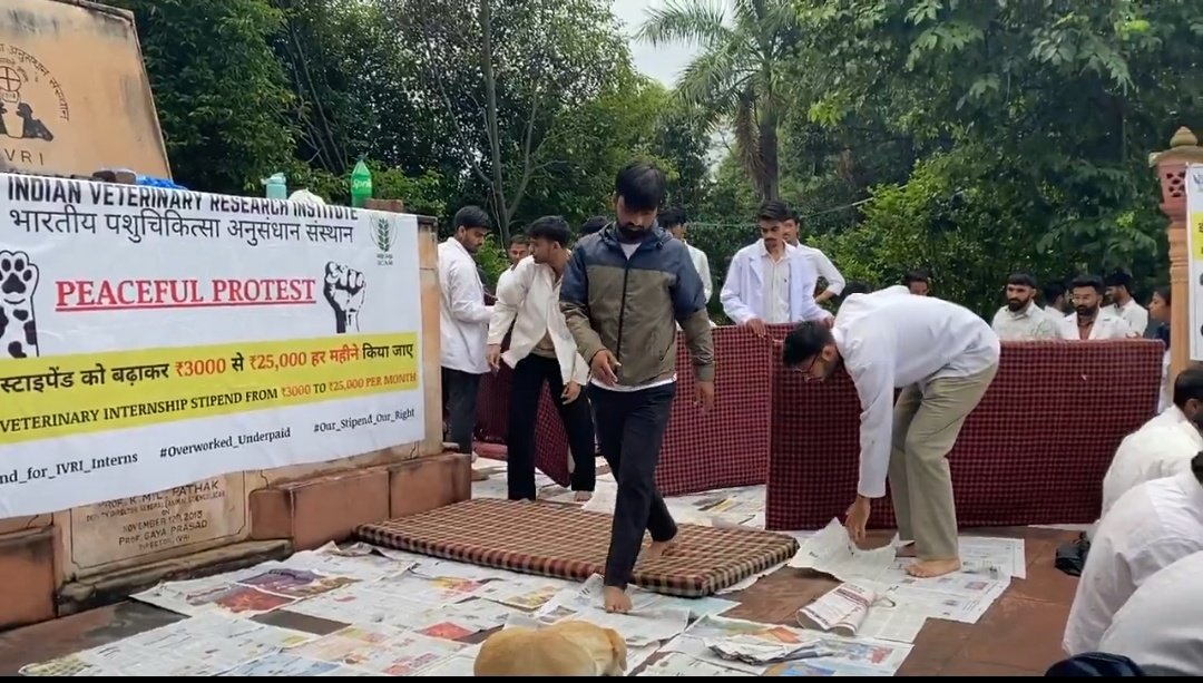 shisha14551's tweet photo. Rain didn’t stop us and neither will the authorities. We won’t budge until our demands are met🩺
@icarindia @ChouhanShivraj @ivri_1889 @dare_goi @CimmytMl @YashpalSMa16711 @PMOIndia @htTweets @ZeeNews @ndtvindia @ABPNews @aajtak @indiatvnews @TimesNowCareers 
#IVRIINTERNSTIPEND https://t.co/S6dNIzL2Ps