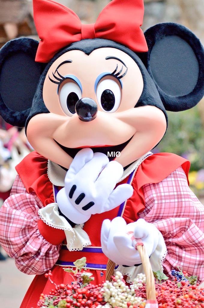 DHF_mio's tweet photo. 昔もうっかりカゴを置いていきがちだったから、今日もうっかりさんしてるだよね☺️💭🧺 https://t.co/OW34C265cI