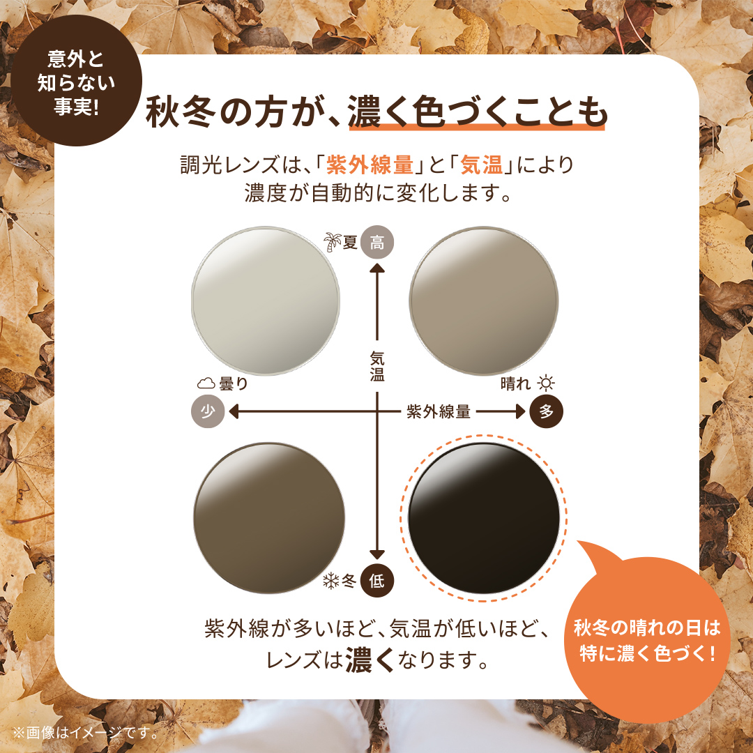 Zoff_INFO's tweet photo. 紫外線でレンズの色が変化。
屋内ではメガネ、屋外ではサングラスに。
かけ替え不要の調光レンズで、秋のお出かけを快適に。