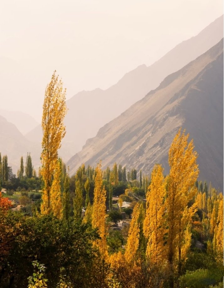 MananHnz's tweet photo. Autumn has a way of making everything look seductive.
#GilgitBaltistan https://t.co/6N7QFHM3eq