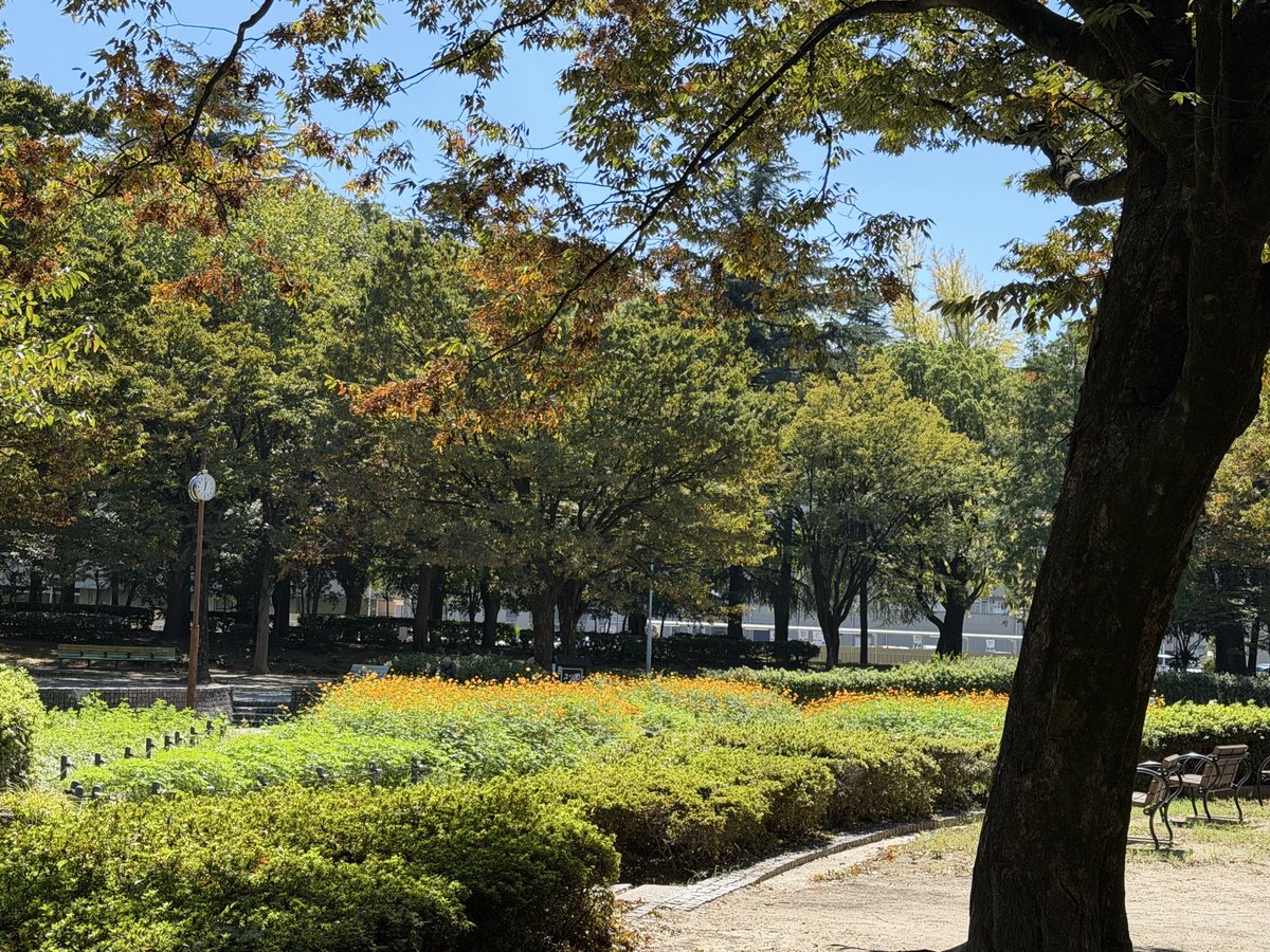 a__n422's tweet photo. お散歩(仕事)眠いのに眠くなっちゃう😪 https://t.co/od1BLlo3Yn