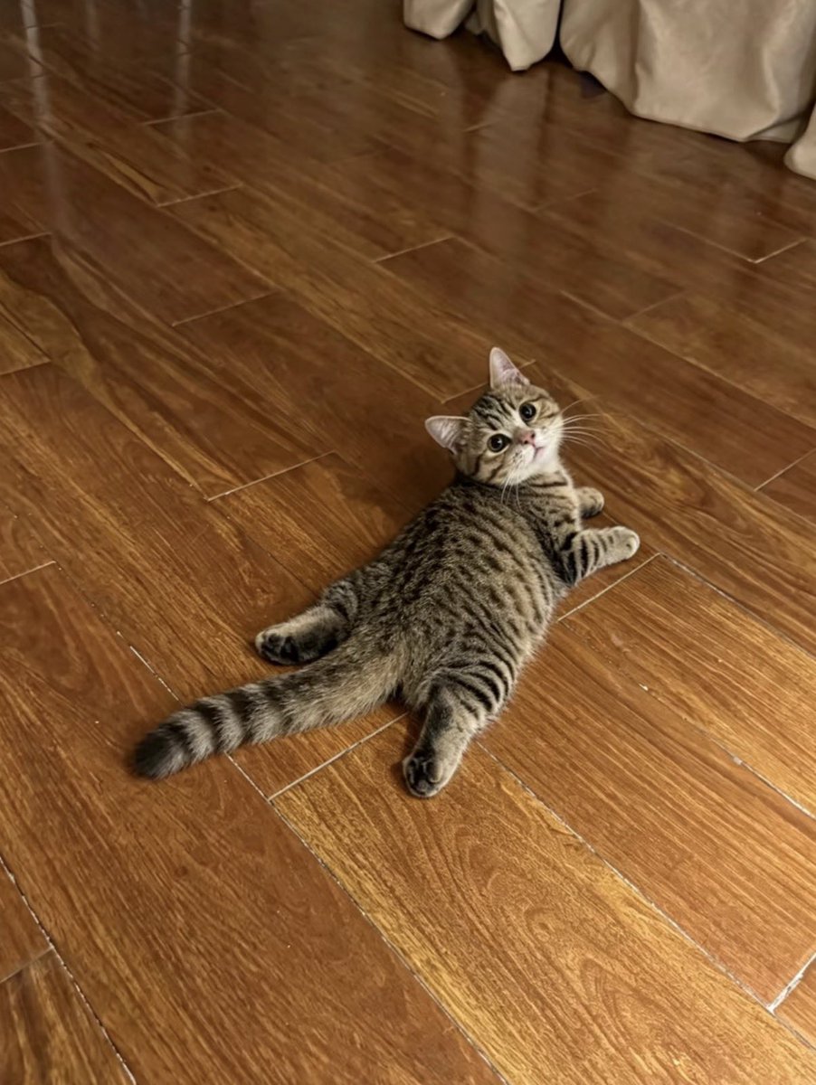 twaniimals's tweet photo. https://t.co/OkOQSRLNlX