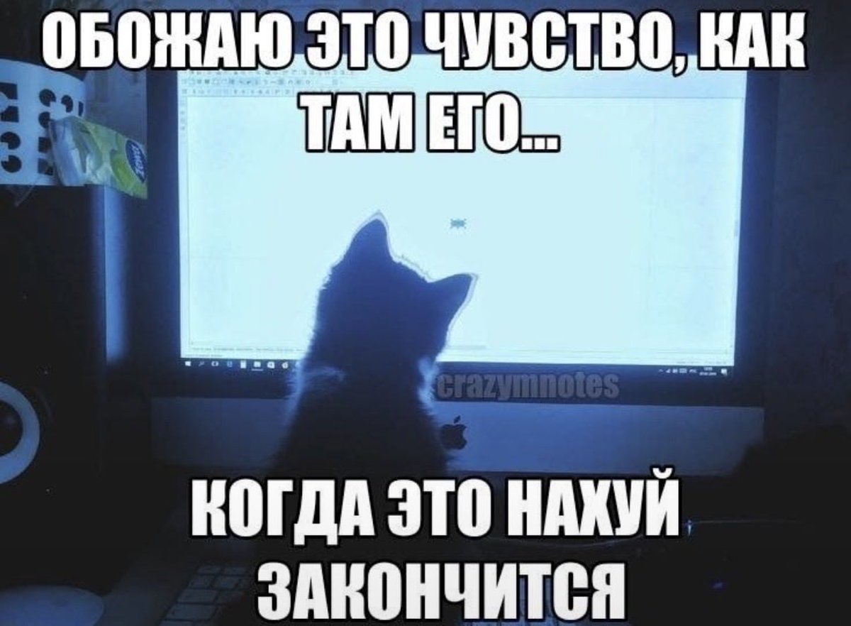 tsundoku__k's tweet photo. сегодня в школу не иду, голова опять болит птздец как сильно(( https://t.co/XlXvtHBSEq