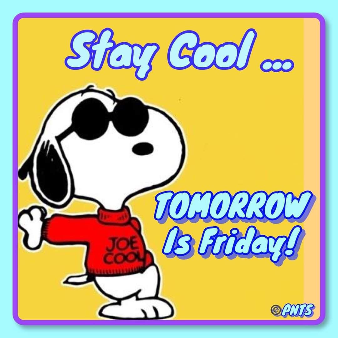 snoopyandfrien6's tweet photo. Stay Cool…
TOMORROW Is Friday! https://t.co/hG6bhGiZGn