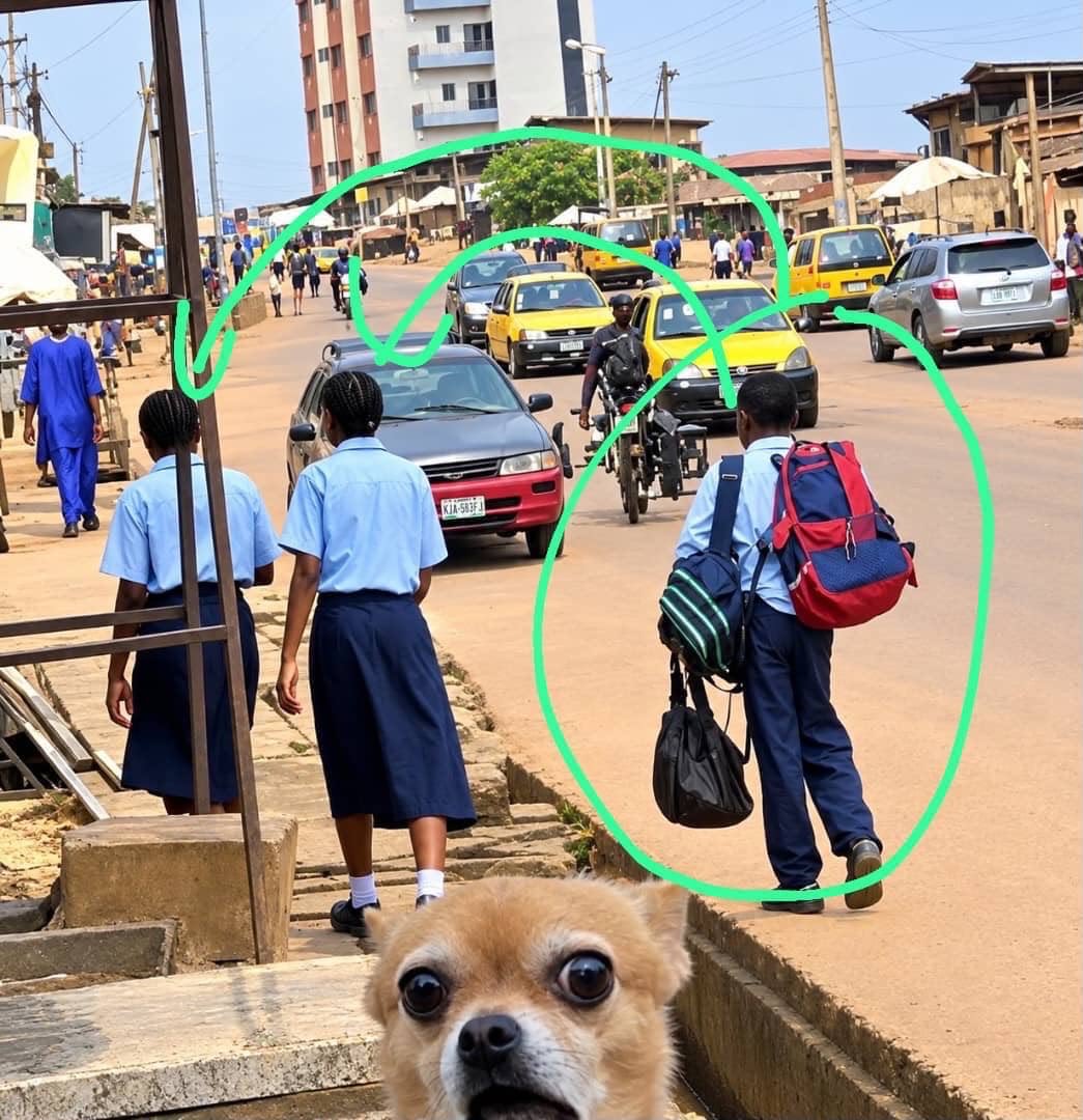Mrkamashi's tweet photo. Y a aussi cette version d’amour scolaire où tu peux même être polygame dedans 😂😂 https://t.co/QeX39xi8aX