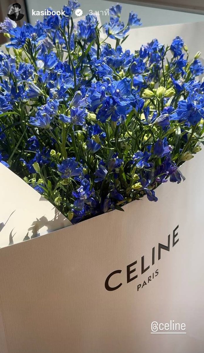 mousesie58349's tweet photo. ดอกไม้สวยมากกก ขอให้ได้ร่วมงานกันอีกนะค้าบบบ 😍💙✨

BOOK X CELINE PFW27
#BookKasidet
#Celine #CelineEte2027
#MichaelRider #kasibook https://t.co/03wT5n4esB