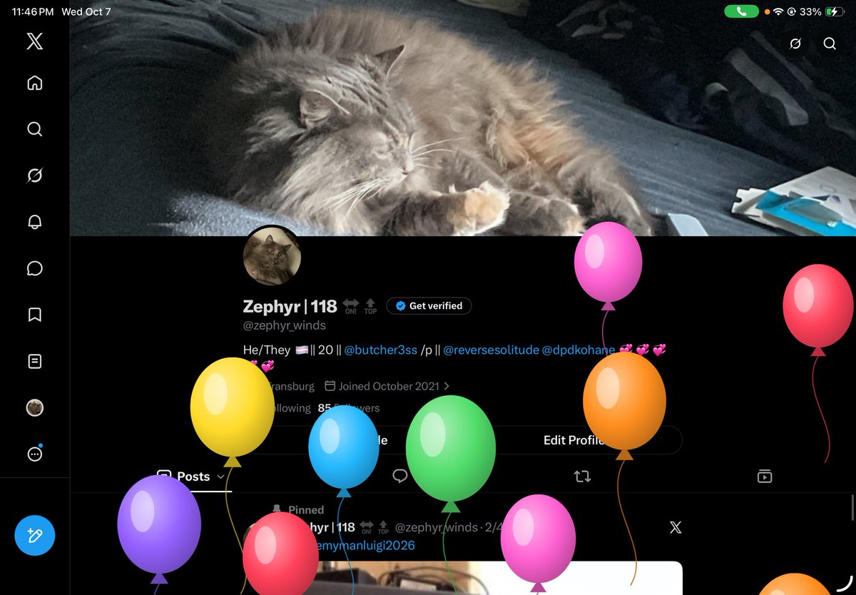 zephyr_winds's tweet photo. My birthday is over in 13 minutes but yay I’m 21 now!! I can be an alcoholic!!! https://t.co/aaV5RFwrGJ