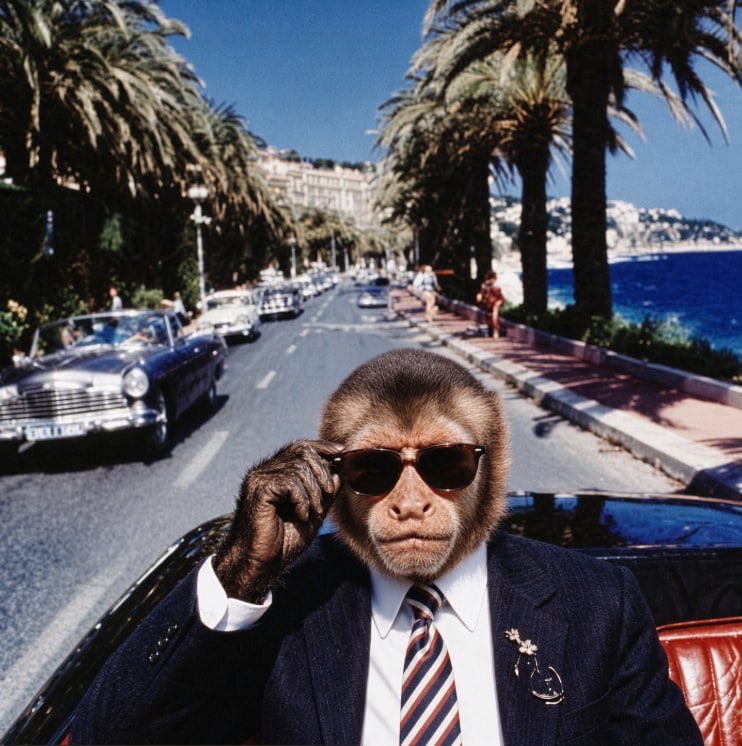 felixsolmonkey's tweet photo. I make trades with conviction. Watch me roll…. https://t.co/vDJ45KCupi