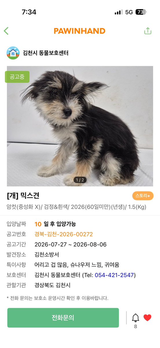 iluvtoto87's tweet photo. 8월 7일 김천에서 부산으로 왔어요 🐾 https://t.co/8wG6HcGJOj