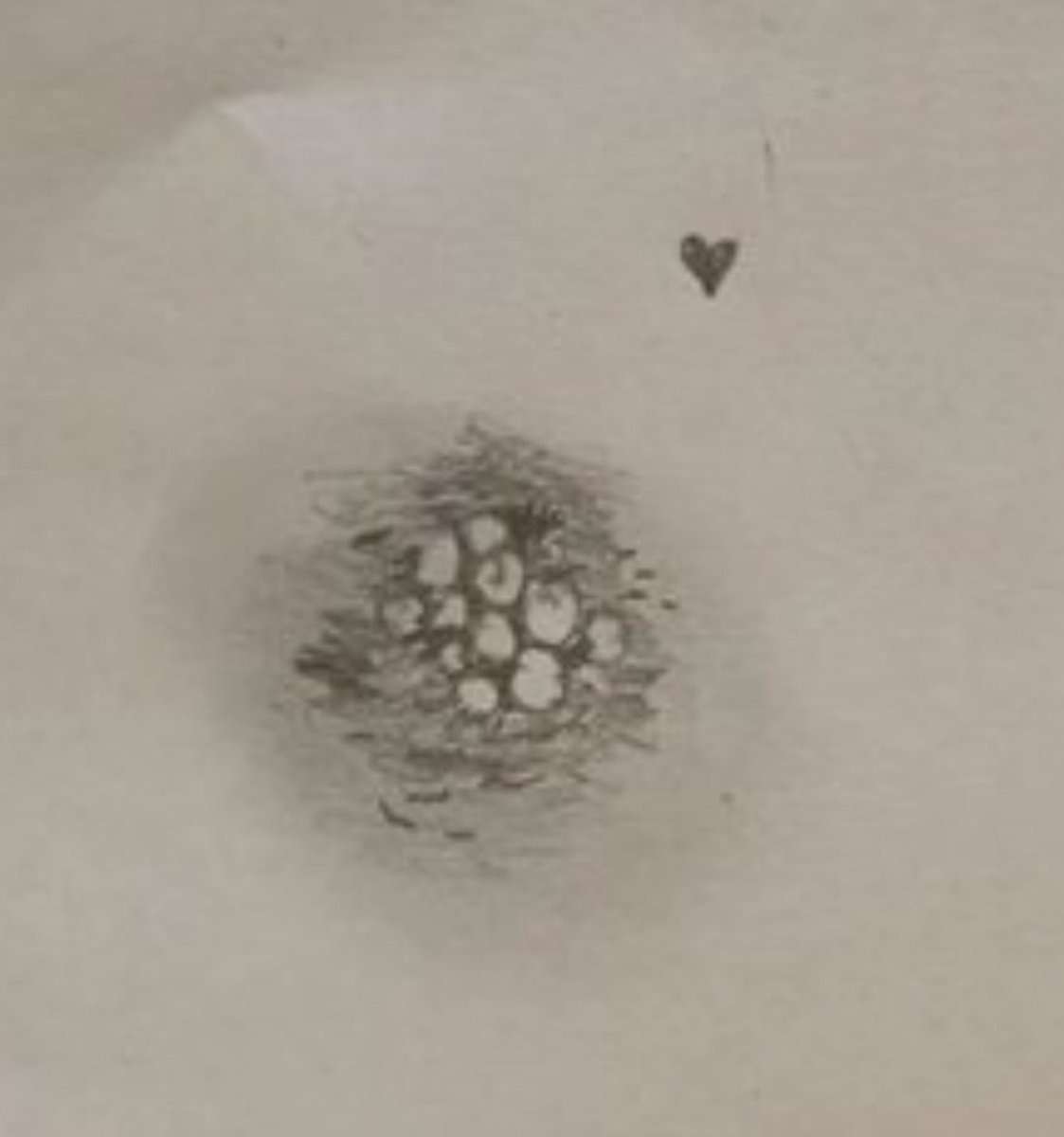 JohnDrover4397's tweet photo. @snail__kingdom Awwww.... BABIES!🥰🐌🐌🐌 https://t.co/LqIZGJxTvm