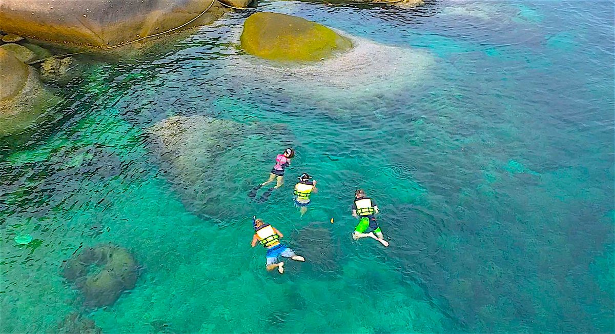 the_funkyturtle's tweet photo. Koh Tao is a unique island in the Gulf of Thailand as it is surrounded by over 8 kilometres of various types of Coral Reef, including colourful soft and hard corals. https://t.co/aivBgy3IF0 #kohtao #thailand #beaches #island #travel #fun #snorkel https://t.co/4NmnIsj5fZ